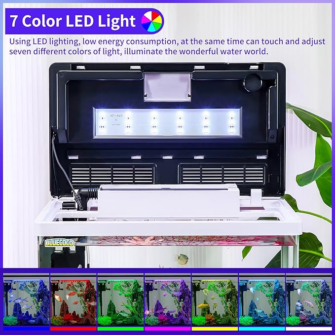 Glass Aquarium Fish Tank Starter Kit with Temperature and Time Display for Betta Fish Featuring Crystal Clear 360° Viewing, Eco-Cycle Filtration, Air Pump 12 Gallon-PawvioPets