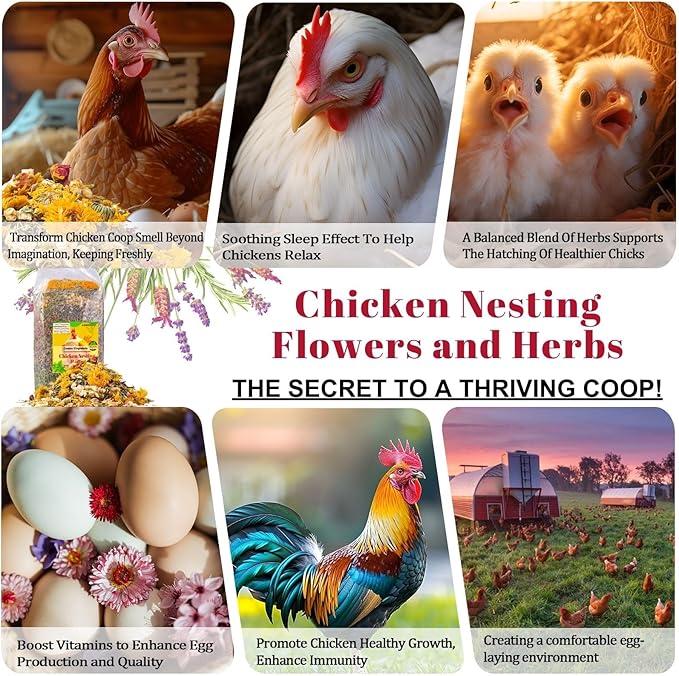 21 oz Chicken Nesting Herbs Flowers - 1.3lb Poultry Blend Herbs 12 Premium Nesting Box Herbs for Chicken Coop Refresher Boost Egg Laying Hens Herb Supplement for Backyard-PawvioPets