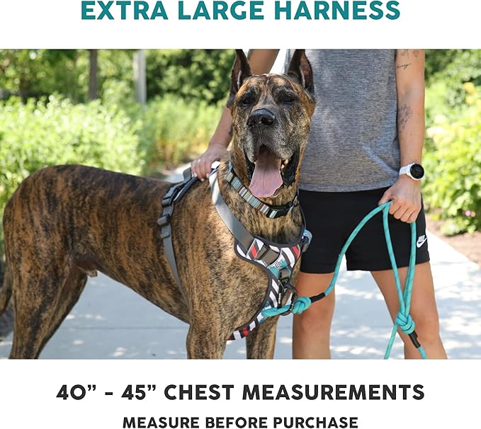 Embark Adventure Dog Harness, Reflective Trim XL Dog Harness for Extra Large Dogs No Pull - Military Grade Nylon, 2 Leash Clips & Gel Lined Handle.-PawvioPets