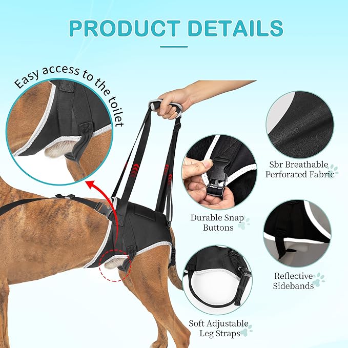 Dog Hip Support Brace – Rear Leg Lift Harness for Mobility & Post-Surgery Recovery, with Chest Straps and Adjustable Elastic Buckles, Customization-PawvioPets