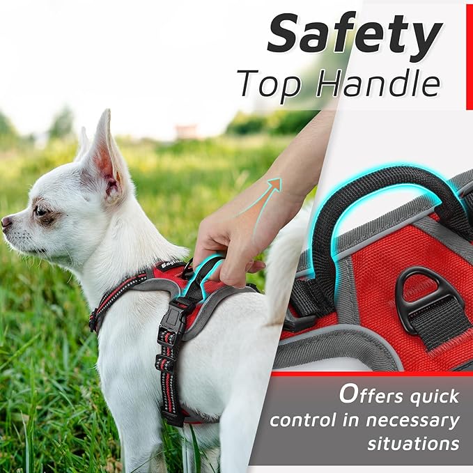 Eagloo Small Dog Harness No Pull, Service Vest with Reflective Strips and Control Handle, Adjustable and Comfortable for Easy Walking, No Choke Pet Harness with 2 Metal Rings, Red, XS-PawvioPets