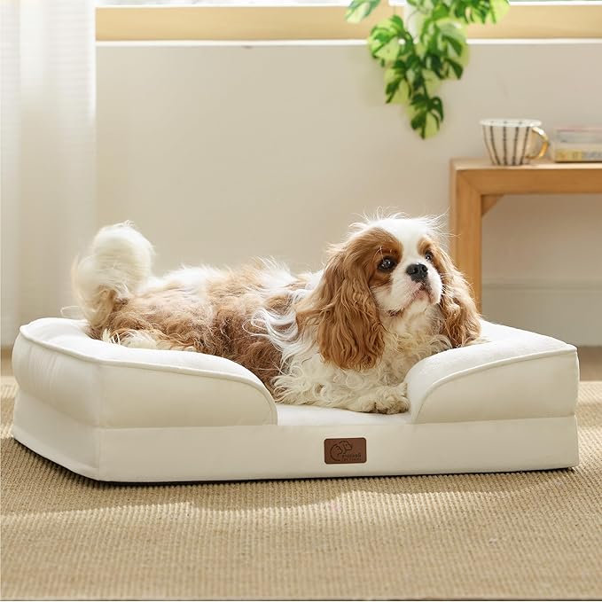 Bedsure Orthopedic Dog Bed Medium Size Dogs - Washable Medium Dog Cat Bed Waterproof, Comfort Pet Couch Sofa with Washable Removable Cover, Pets Bed with Nonskid Bottom, Ivory, 28"-PawvioPets