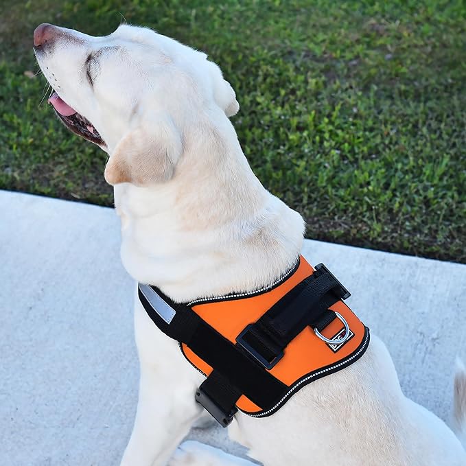 Dogline Dog Harness, Reflective No-Pull Adjustable Vest with Handle for Walking, Training, Breathable, No - Choke Harness for Small, Medium or Large Dogs Room for Patches Girth 33"-46" in Orange-PawvioPets