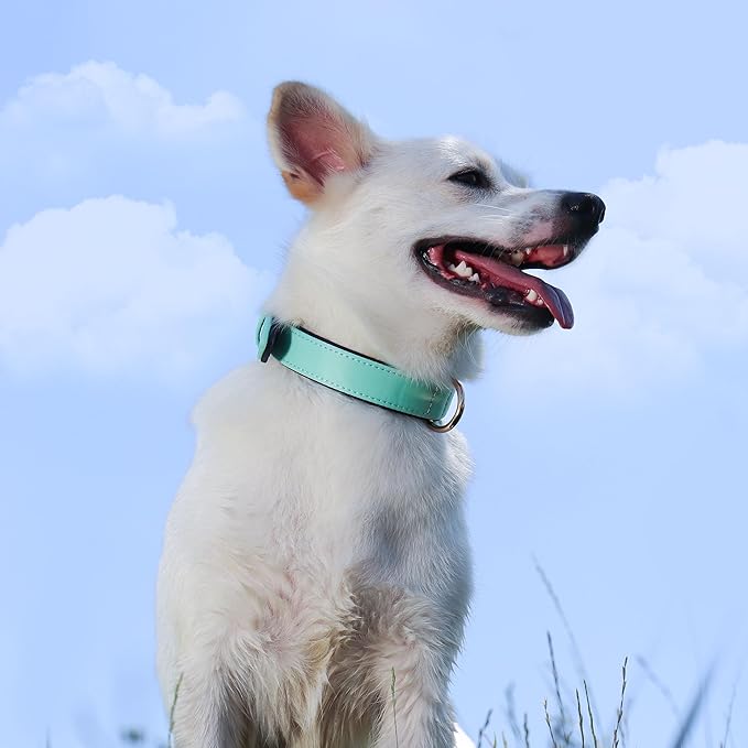 Didog Soft Padded Dog Collars for Medium Dogs, Lightweight and Breathable Dog Collar with Metal Buckle, Green, L-PawvioPets