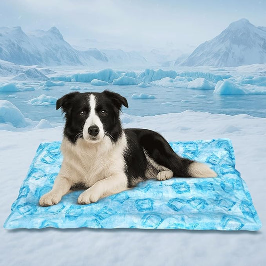 Cooling Pad for Large Dog,Instant Pet Cool Mat,Comfortable Cool Pet Mat for Cat.Portable Dog Bed for Summer. Suitable for Outdoor Summer Crate Pad.Long Time Cooling.Ice Brick(Size-L 19.7 * 23.6in)-PawvioPets