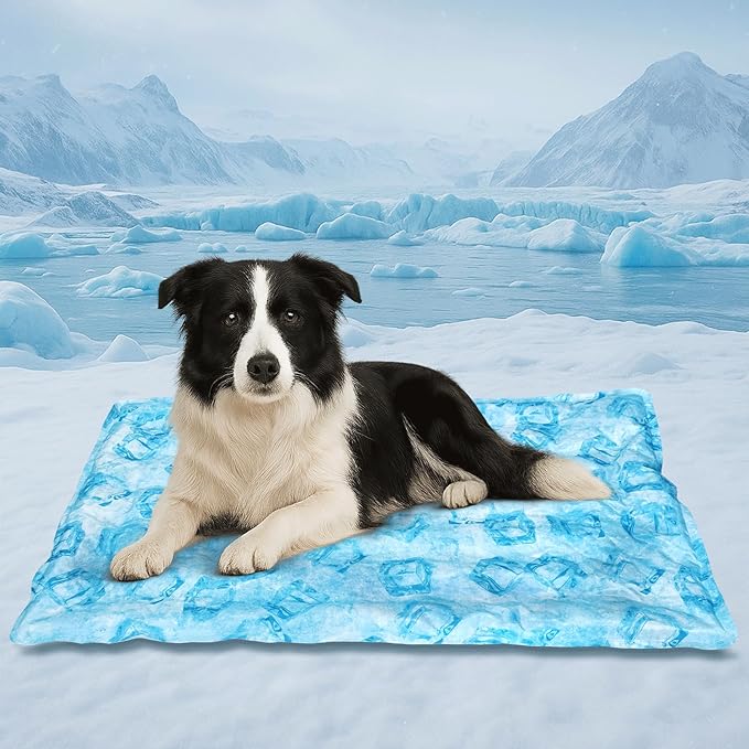 Cooling Pad for Large Dog,Instant Pet Cool Mat,Comfortable Cool Pet Mat for Cat.Portable Dog Bed for Summer. Suitable for Outdoor Summer Crate Pad.Long Time Cooling.Ice Brick(Size-XL 23.6 * 35.4in)-PawvioPets