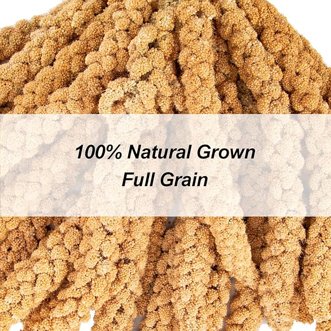 Amzey 5.5 LB Spray Millet for Parakeets, 100% Natural Dried Millet Grain for Birds, Non-GMO Bird Treat for Cockatiel, Finches, Parrots & Lovebirds-PawvioPets
