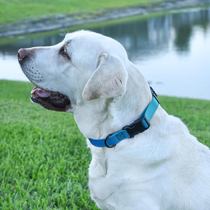 Dogline Biothane Waterproof Dog Collar with Quick Release Buckle Strong Coated Nylon Webbing with Odor- Proof for Easy Care Easy to Clean Fits Small Medium or Large Dogs, Dogline Blue 3/4" W 12-19" L-PawvioPets