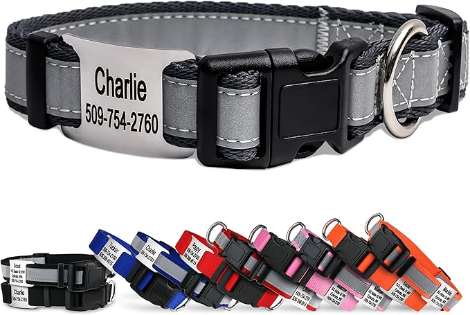 GoTags Reflective Personalized Dog Collar with Nameplate, Adjustable Dog Collar with Custom Engraved Steel Slide On Pet ID Tag, Silent, No Noise Dog Tag for Large Medium or Small (Charcoal, Large)-PawvioPets