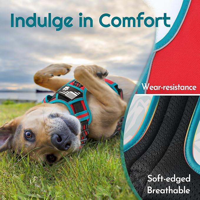 Eagloo Dog Harness Small Sized, Easy Wearing with 3 Buckles, Adjustable No Pull Pet Harness with 2 Rings for Walking, No Chock Reflective Soft Padded Vest with Control Handle, Red & Teal, S-PawvioPets
