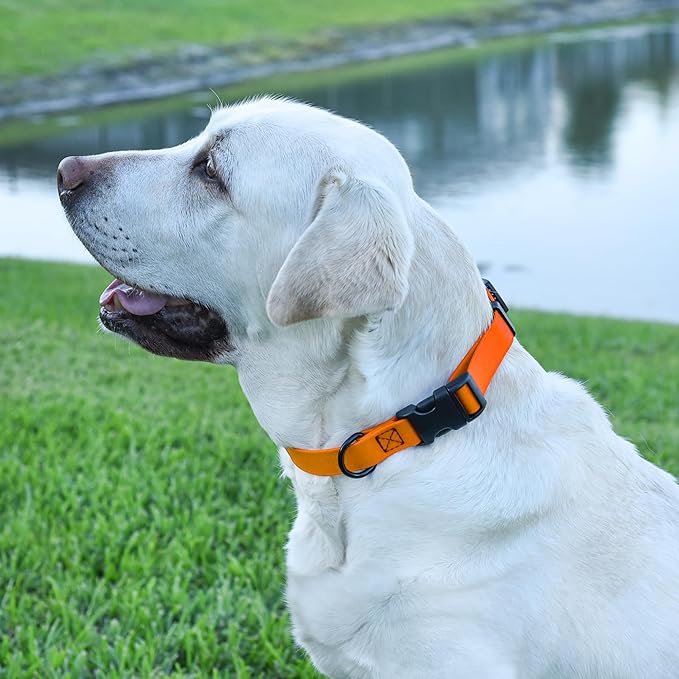 Dogline Biothane Waterproof Dog Collar with Quick Release Buckle Strong Coated Nylon Webbing with Odor- Proof for Easy Care Easy to Clean Fits Small Medium Large Dogs, Tangerine Orange 5/8" W 9-14" L-PawvioPets