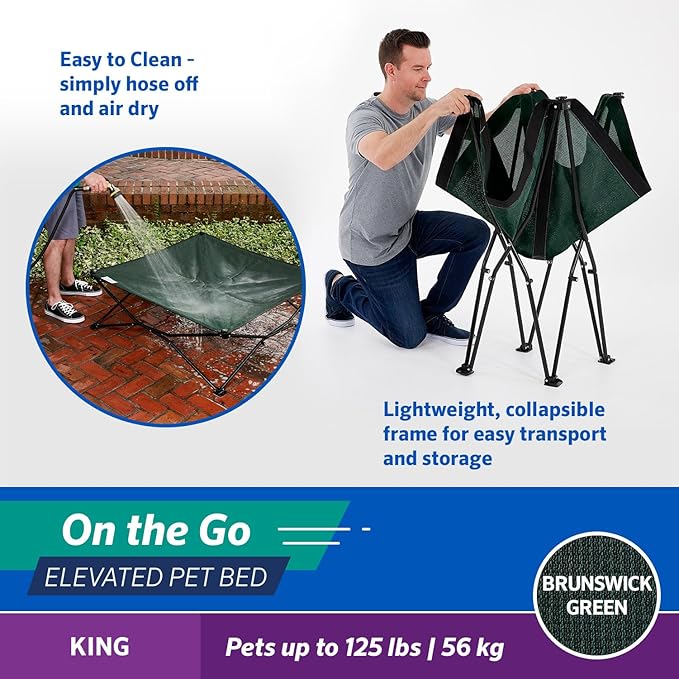 Coolaroo On-The-Go Elevated Dog Bed - Foldable Pop-Up Travel Dog Bed with Breathable, Moisture-Resistant Fabric, Carry Bag Included, Lightweight & Portable, Brunswick Green, Extra Large-PawvioPets