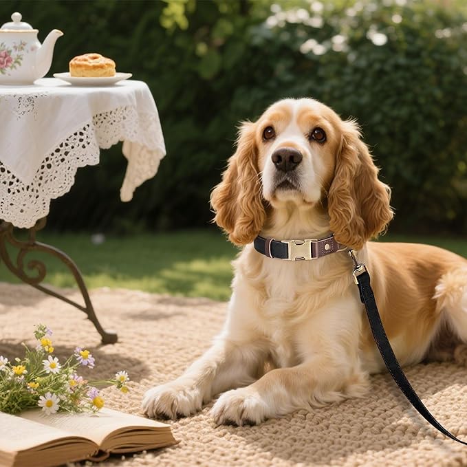 Didog Soft PU Leather Dog Collars for Medium Dogs,Classic Adjustable Dog Collars with Quick Release Metal Buckle,Easy Clean and Comfortable with Nylon Lining,Black,M Neck 13-19"-PawvioPets