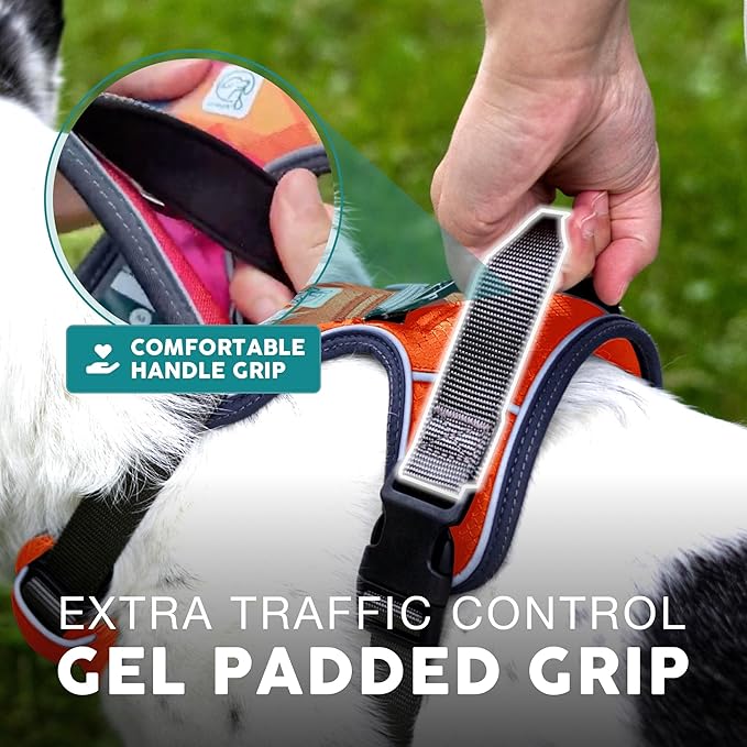 Embark Adventure Dog Harness, Reflective Trim XL Dog Harness for Extra Large Dogs No Pull - Military Grade Nylon, 2 Leash Clips & Gel Lined Handle. Soft & Padded Puppy Dog Harnesses for Any Breed-PawvioPets