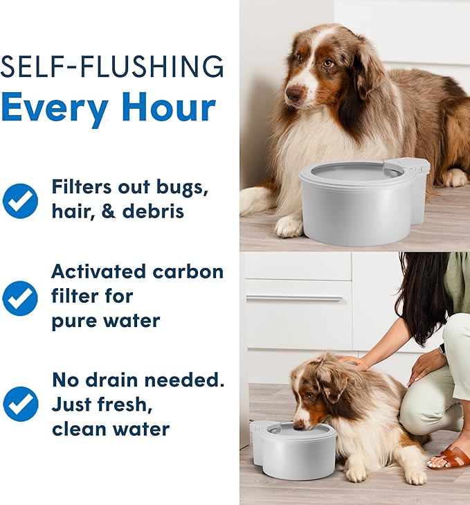Always Full® 9" Pet Water Bowl and Wall Unit Bundle – Self-Refilling, Clean Filtered Water, Easy Home Connection, App-Enabled Hydration Tracking, Cat and Dog Water Bowls-PawvioPets