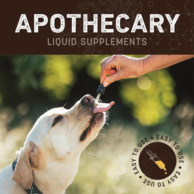 Earth Animal Herbal Remedies | Allergy and Skin | 2 fl oz-PawvioPets
