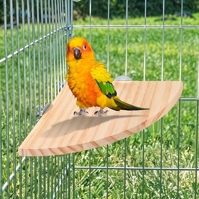 Bird Perch Platform Stand Wooden Parrot Perch Corner 6.7 Inches Fan Shape Playground Cage Accessories Parrot Stand Flat Perches for Bird Cages Corner Shelf for Birds Parrots Hamster Gerbil-PawvioPets