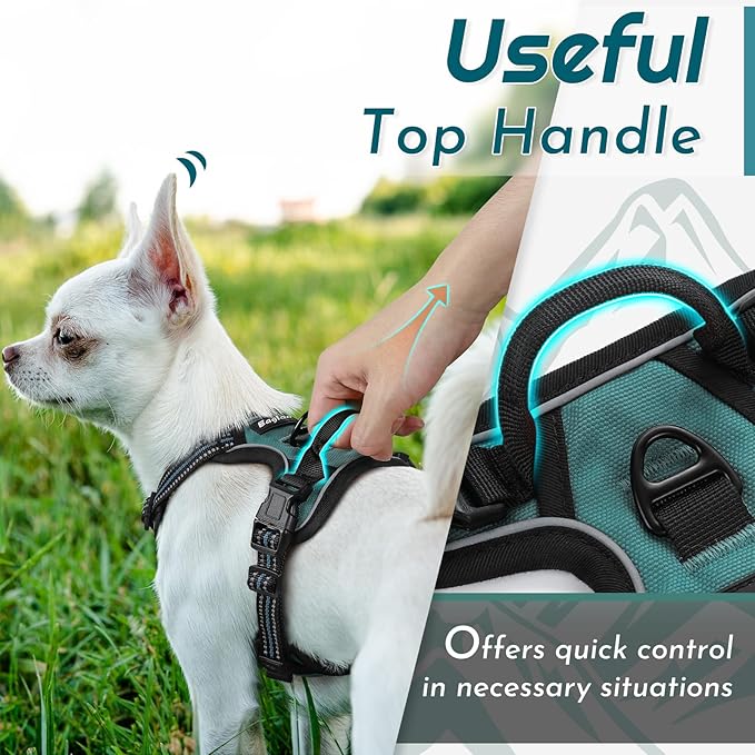 Eagloo Small Dog Harness No Pull, Service Vest with Reflective Strips and Control Handle, Adjustable and Comfortable for Walking, No Choke Pet Harness with 2 Metal Rings, Dark Green, XS-PawvioPets