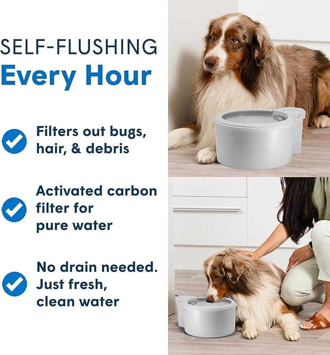 Always Full® 7" Pet Water Bowl and Bottle Pump Bundle, Self-Refilling, Clean Filtered Water, App-Enabled Hydration Monitoring, Easy Upgrade to Wall Unit, Cat and Dog Water Bowls-PawvioPets