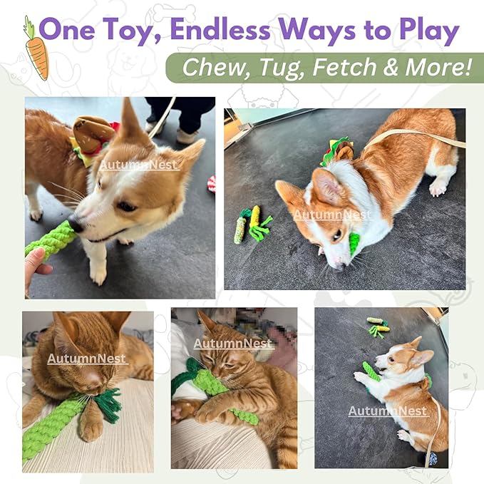 3PCS Green Woven Pet Chew Set, Dog Chew Accessories, Cat Interactive Chews, Safe & Durable Braided Chews for Dogs, Cats & More Pets-PawvioPets