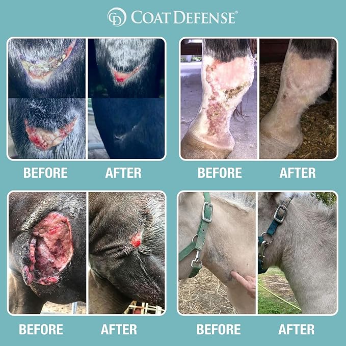 COAT DEFENSE Trouble Spot Drying Paste for Horses - Natural Equine Wound Care That Provides Safe & Effective Relief from Scratches, Sweet Itch, Summer Sores, Proud Flesh, Mud Fever, Girth Rot (10 Oz)-PawvioPets