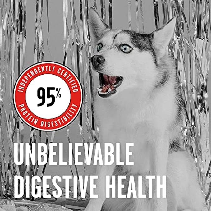 BIXBI Rawbble Freeze Dried Dog Food, Beef Recipe, 4.5 oz - 98% Meat and Organs, No Fillers - Pantry-Friendly Raw Dog Food for Meal, Treat or Food Topper - USA Made in Small Batches-PawvioPets