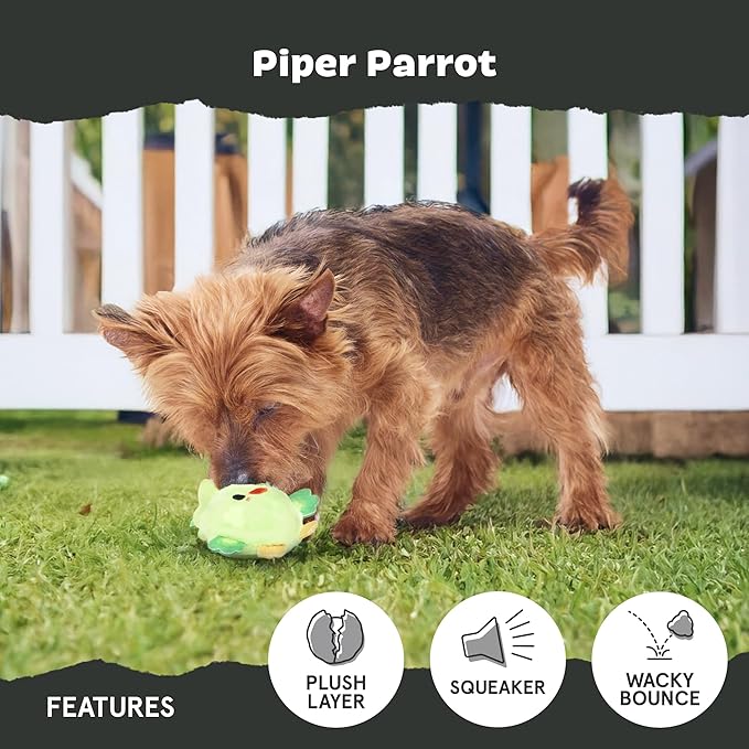 Barkbox Piper Parrot Dog Toy for Small Dogs, Perfect for Flipping Fun and Tearable Outer Layer with Bonus Toy Inside for Extra Playtime Excitement-PawvioPets