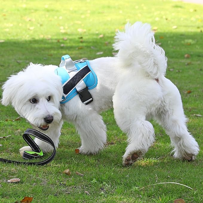 Bolux Dog Harness, No-Pull Reflective Dog Vest, Breathable Adjustable Pet Harness with Handle for Outdoor Walking - No More Pulling, Tugging or Choking (OceanicBlue, Small (Pack of 1))-PawvioPets