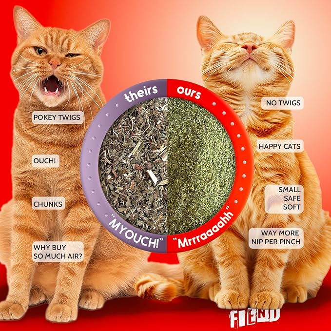 Fiend Catnip Safety-Cut 100% Pure Potent Fine Cat Nip for Cats & Kittens – Ultra Potent, North American – 1 Cup (34.5g) Canister – Go Ahead, Create a Monster!-PawvioPets