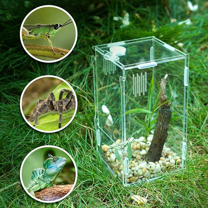 BETAZOOER Acrylic Mini Reptile Tank Habitat Transparent Terrariums with Locking Latch Suitable for Tarantula Isopod Roach Invertebrates (4''x4''x8'')-PawvioPets