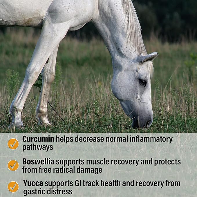 Absorbine Bute-Less Performance Advanced Formula Horse Supplement Pellets, Supports Healthy Inflammatory Response & GI Tract, 3.75lb Tub / 30 Day Supply-PawvioPets