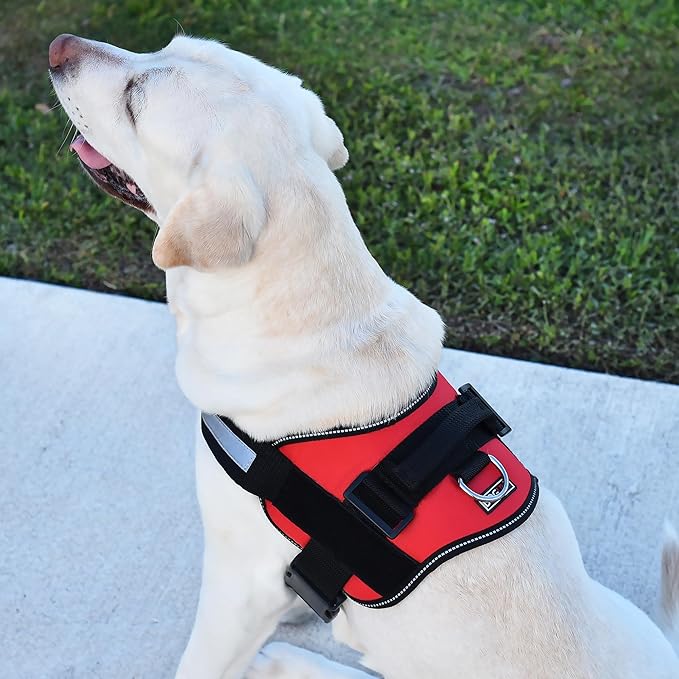Dogline Dog Harness, Reflective No-Pull Adjustable Vest with Handle for Walking, Training, Service Breathable No - Choke Harness for Small, Medium or Large Dogs Room for Patches Girth 18 to 24 in Red-PawvioPets