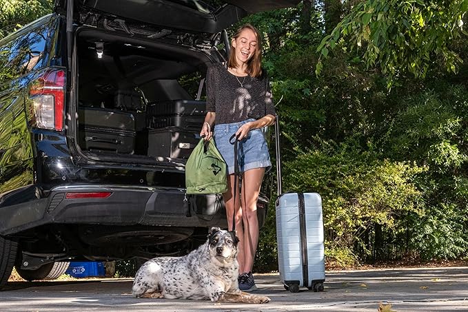 Dog Travel Bag – Large Capacity Pet Food Organizer with Backpack Leash, Water-Resistant & Food-Safe, Includes ID Tag – Travel Gear for Dogs, Hiking, Camping & Road Trips (Green)-PawvioPets