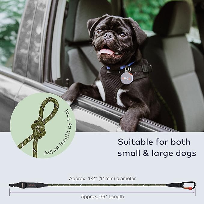 Dog Seat Belt for Car | Universal Dog Car Seatbelt | Durable Reflective Rope with Clip Hook Latch, Buckle and Carabiner- Safe and Secure Pet Safety Restraint (Army Green)-PawvioPets
