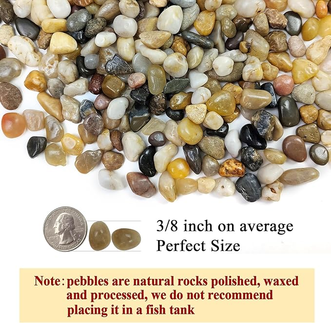 2 Pounds Pebbles for Plants, 3/8 Inch Polished Pea Gravel. Decorative Stones River Rocks for Succulent Soil Cover, Cactus, Aquarium, Vase and Outdoor Garden Landscaping-PawvioPets