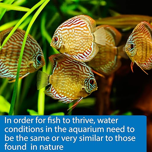 API 5-IN-1 TEST STRIPS Freshwater and Saltwater Aquarium Test Strips 4-Count Box-PawvioPets