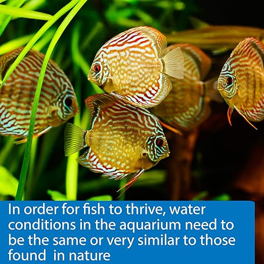 API 5-IN-1 TEST STRIPS Freshwater and Saltwater Aquarium Test Strips 100-Count Box-PawvioPets