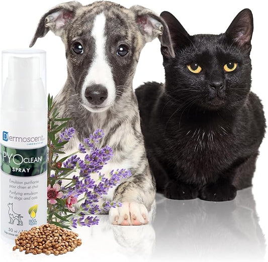 Dermoscent PYOclean® Spray for Dogs & Cats 50 ml (1.66 fl. oz.)-PawvioPets