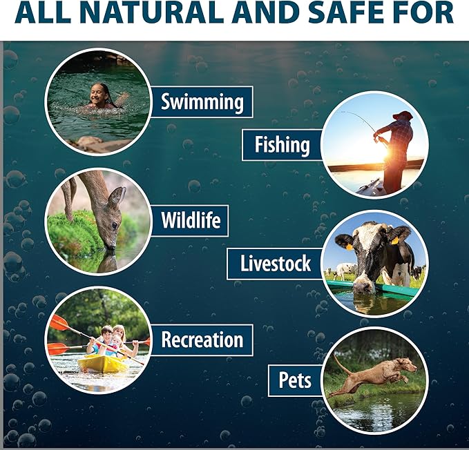 Airmax Twilight Blue Pond Dye 4X Concentrate for Outdoor Ponds & Lakes, Natural Pond Colorant & Beauty Enhancer, Block Ultraviolet Rays, Fish, Bird & Livestock Safe, Easy Liquid Application,1 Quart-PawvioPets