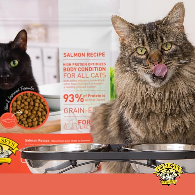 Dr. Elsey'S Cleanprotein Salmon Formula Dry Cat Food, 2 Pound (Pack of 1)-PawvioPets