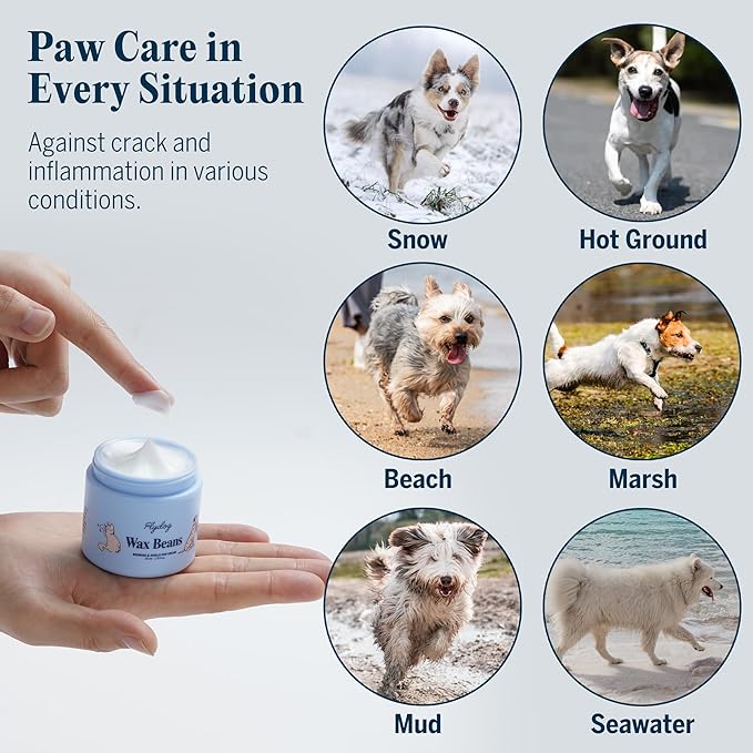 Flydog Wax Beans Fragrance-Free Pet Paw & Nose Balm Cream – Moisturizing, Soothing & Repairing Dry, Cracked Pads for Dogs, Cats & Small Animals, Avocado Oil Multi-Purpose Paw & Nose Protector, 50ml-PawvioPets