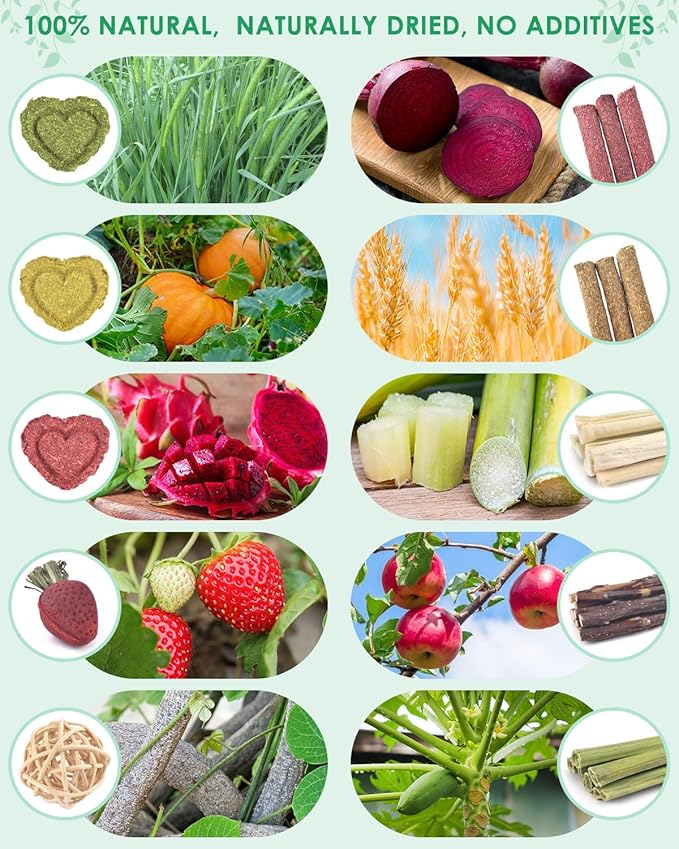 ERKOON 53 Bunny Chew Toys for Rabbits Teeth, Natural Rabbit Toys Apple Wood Sticks, Carrot, Timothy Grass for Small Pets, Hamster, Chinchilla, Guinea Pig Dental Care and Treat Teething(53)-PawvioPets