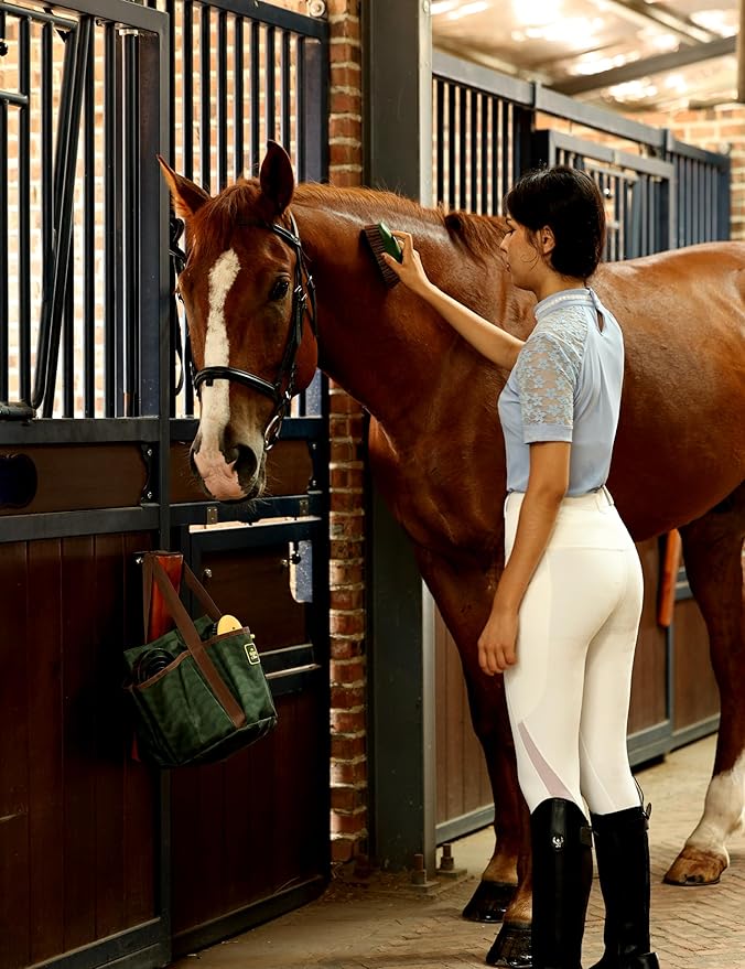 11PCS Horse Grooming Kit Curry Comb Sweat Scraper Horse Bathing Supplies Grooming Tools with Storage Bag Pasture Glow-PawvioPets