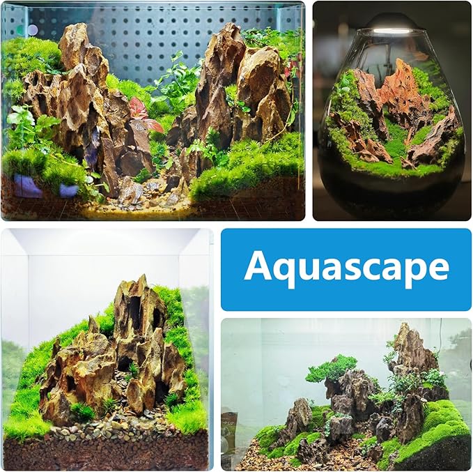 5LB Aquarium Rocks Dragon Stone for Aquariums Landscaping Model Fish Tanks Terrariums Vivariums Model Decoration-2 to 4 Inches-PawvioPets
