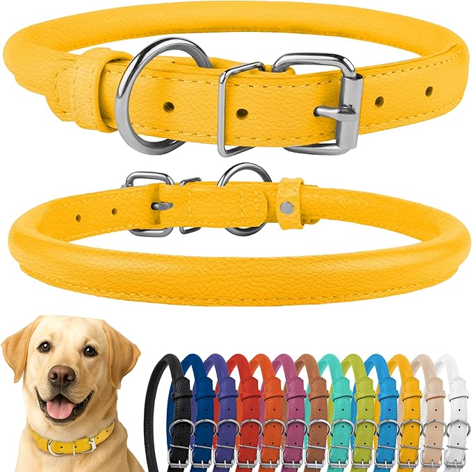 CollarDirect Rolled Leather Dog Collar, Soft Padded Round Puppy Collar, Handmade Genuine Leather Collar Dog Small Large Cat Collars 13 Colors (18-22 Inch, Yellow Textured)-PawvioPets