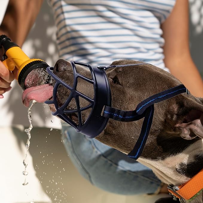 Dog Muzzle, Breathable Basket Muzzles for Small, Medium, Large and X-Large Dogs, Prevent Barking, Biting, Chewing Dog Mouth Cover-PawvioPets