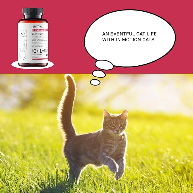 animaux - in Motion Cats, Green-lipped Mussel, Devil's Claw, Rose Hip & Ginkgo, Support for Bones, Joints, Cartilage, tendons, with Hyaluron, Collagen, 90 chewable Tablets, 90 Days Supply-PawvioPets