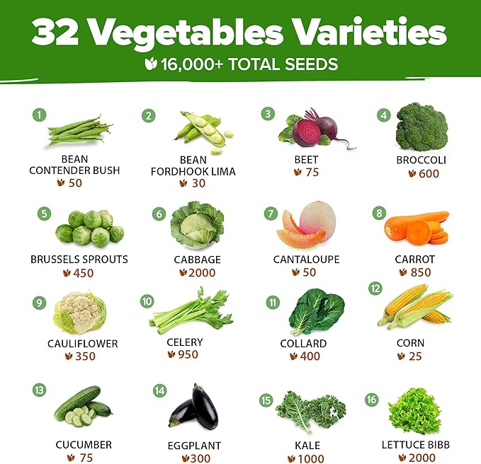32 Heirloom Vegetable and Fruit Seeds for Planting - 16,000+ Seeds | Non-GMO Survival Seed Vault | High Germination | 32 Varieties of Vegetable Seeds for Your Home Survival Garden-PawvioPets