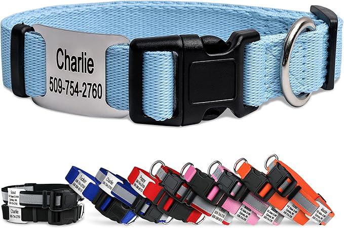 GoTags Personalized Dog Collar with Nameplate, Adjustable Dog Collar with Custom Engraved Slide On Pet ID Tag in Stainless Steel, Silent, No Noise Dog Tag (Light Blue, Medium)-PawvioPets