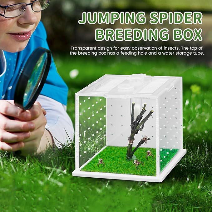 Acrylic Jumping Spider Enclosure, 2.95×2.95×2.87in Transparent Reptile Terrarium, Versatile Tarantula Enclosure for Small Reptiles/Insects, Small Reptile Tank with Dropper, Jumping Spider Accessories-PawvioPets